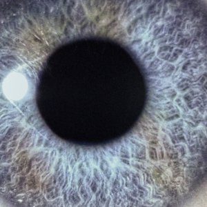 Moontower (Remaster 2026)