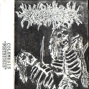 Postbiosis