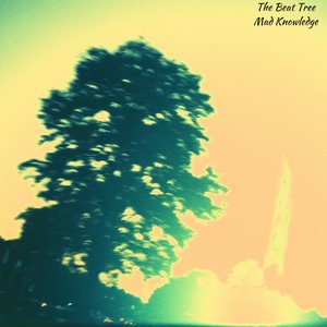 Аватар для The Beat Tree