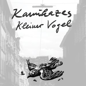 Kleiner Vogel