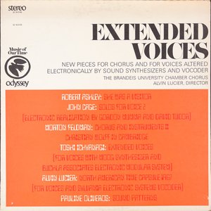 Extended Voices