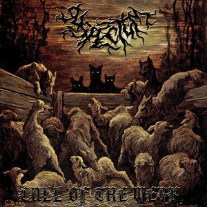Cull Of The Weak