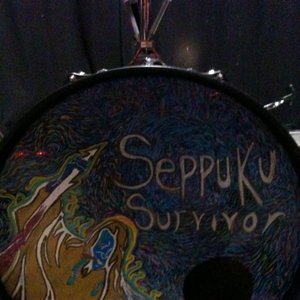Seppuku Survivor 的头像