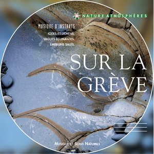 Nature atmosphères: sur la grève