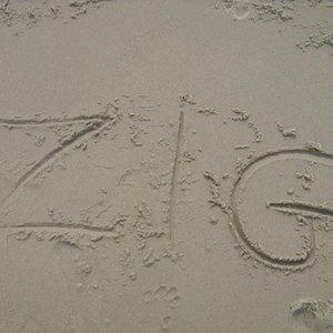 Avatar for Zig