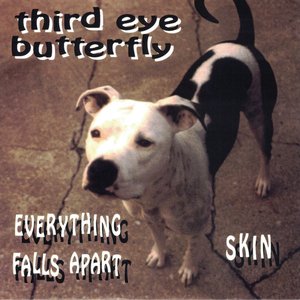 Everything Falls Apart / Skin