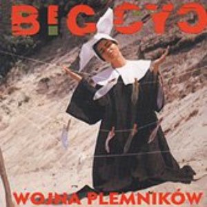 Wojna Plemnikow