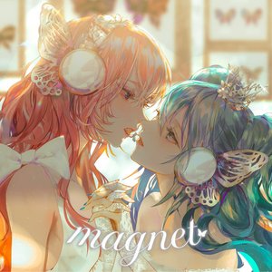 magnet (recall)