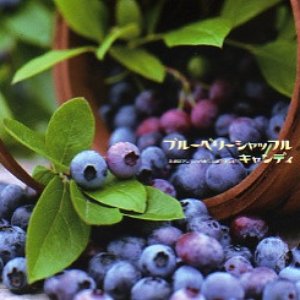 ブルーベリーシャッフル