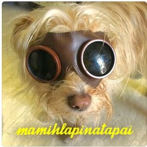 Mamihlapinatapai
