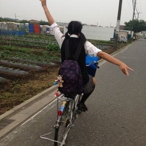 misoo74 的头像