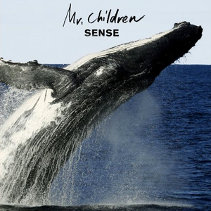 SENSE cover