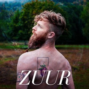 Zuur 的头像