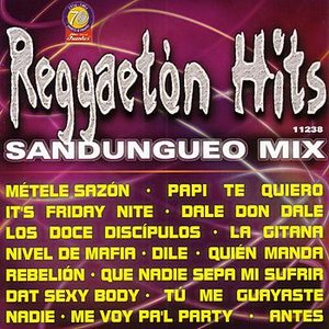 Reggaeton Hits - Sandungueo Mix