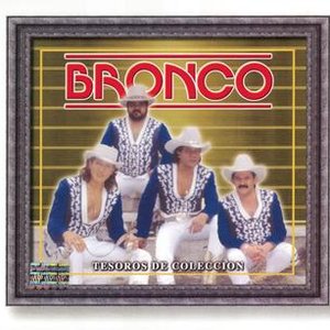 Tesoros De Coleccion - Bronco