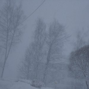 Winter