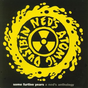 some furtive years  -  a ned's anthology