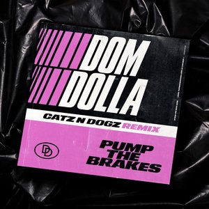 Pump the Brakes (Catz 'n Dogz Remix) - Single