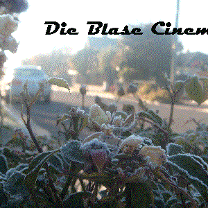 Die Blase Cinema 的头像