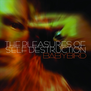 The Pleasures of Self Destruction cover