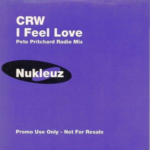 I Feel Love (Pete Pritchard Mix )