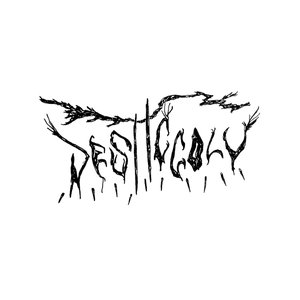 D. E. S. T. T. C. C. O. L. V. 的头像