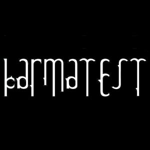 “Karmatest”的封面