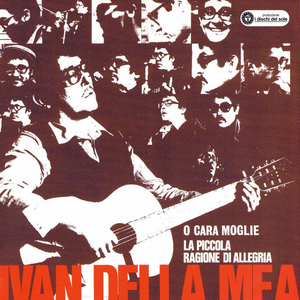 La piccola ragione di allegria cover