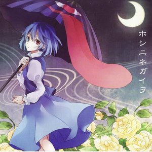 ホシニネガイヲ
