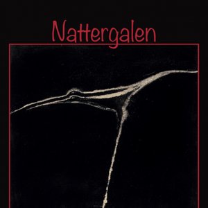 Nattergalen - Folkesang I Østerdalen