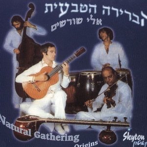 אלי שורשים