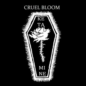 Cruel Bloom 的头像