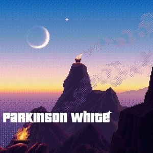 Parkinson White 的头像