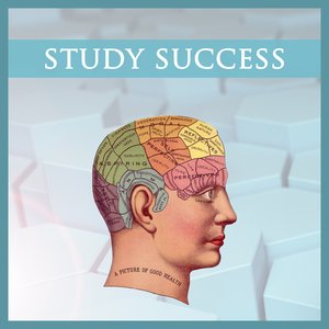 Study Success 的头像