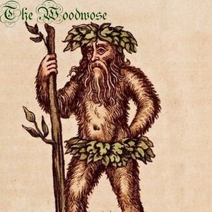 The Woodwose 的头像