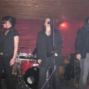 The Sober Sisters & The Dirty Four 的头像