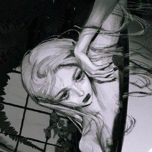 slxpt 的头像