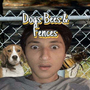 Dogs Bees & Fences