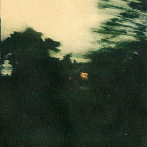 Everything - Single