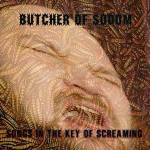 Songs in the Key of Screaming