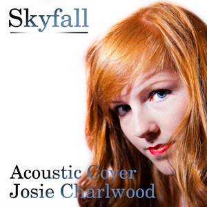 Skyfall (Acoustic Cover)