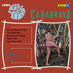 Cañabrava