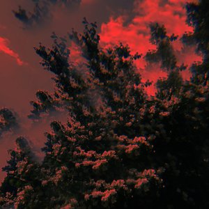 Strövtåg i Hembygden