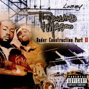 Timbaland & Magoo - Insane - Lyrics - Zortam Music