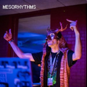 Mesorhythms