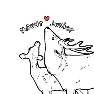 mount junior 的头像