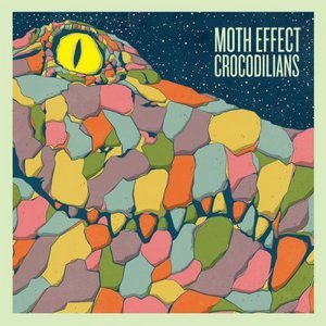 Moth Effect 的头像