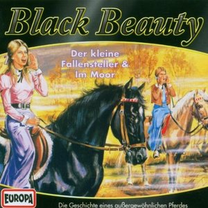 04/Black Beauty im Moor