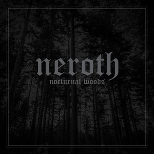 Nocturnal Woods