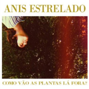 Como vão as plantas lá fora? - EP